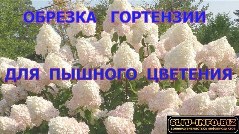 1791553231260.jpg 1791553231260.jpg