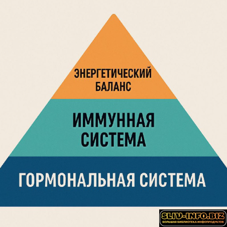 1791641131429.png