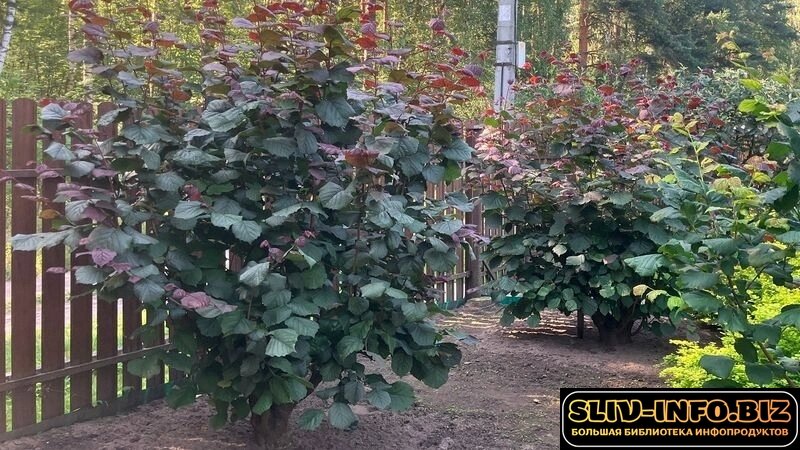 1792049232722.jpg