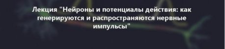 c.radikal.ru_c02_1807_14_3342eaded1b1.jpg c.radikal.ru_c02_1807_14_3342eaded1b1.jpg