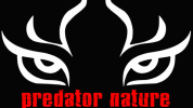 2.png 2.png