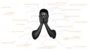 .png .png