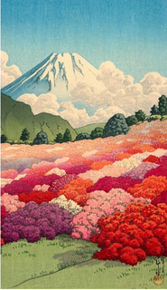 [IMG]